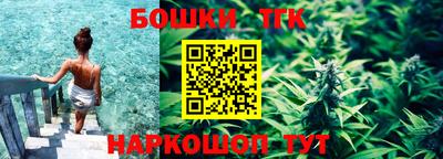 прущие грибы Гудермес