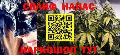 прущие грибы Гудермес