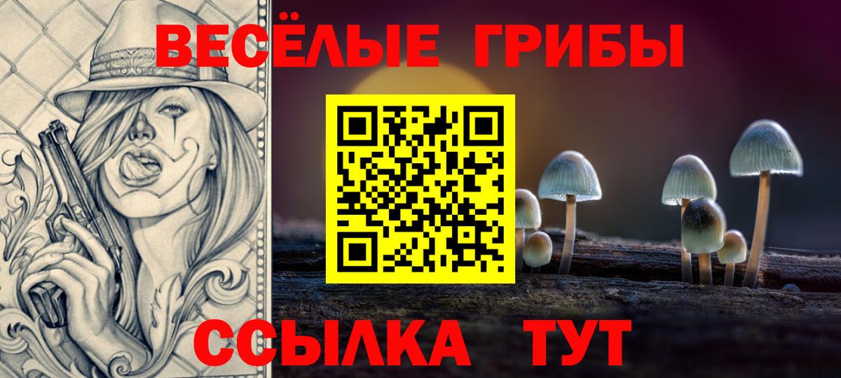 Псилоцибиновые грибы ЛСД Архангельск
