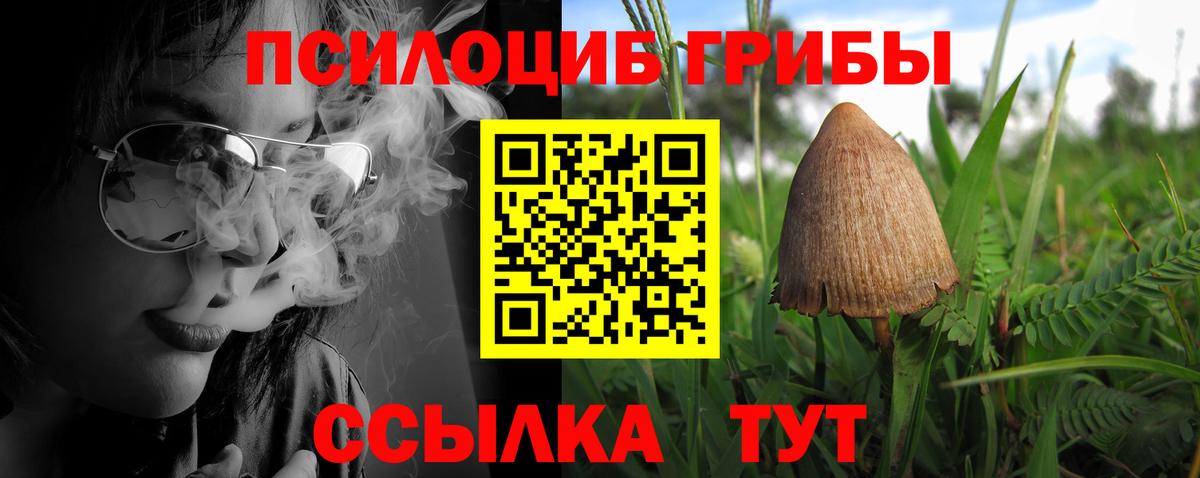 Галлюциногенные грибы MAGIC MUSHROOMS  Псилоцибиновые грибы мицелий  Вход с VPN  Архангельск 